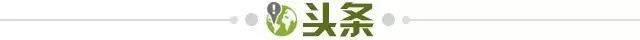 五星体育官网-【早报】活久见！塞内加尔被剥夺非洲杯冠军！